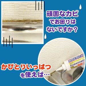楽天市場 業務用 カビとり一発 500g 鈴木油脂工業 カビ取り剤 ジェルタイプでかびを強力に除去 大型サイズ 浴室 お風呂黴取り バス 洗剤 黒カビ 結露 シリコン 防カビ かびとりいっぱつ 北海道 沖縄 離島配送不可 キャンペーン365