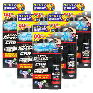 ԗpGARJrXv[ GARJrgfXԗp 80ml×6{ UYEKI