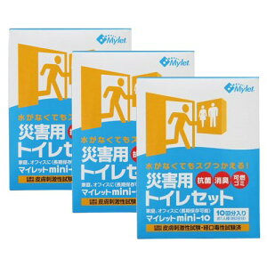 ЊQpgC }Cbgmini10×3 ЊQgCZbg h ~ g