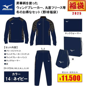 MIZUNO ~Ym 싅EGA 2025N  12JEBX9614 lCr[