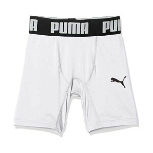 v[}(PUMA) V[g^Cc 656334 LbY PzCg/PubN(04)