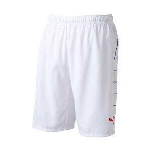 プーマ(PUMA) 日本代表 パラメヒコ トレーニングショーツ ジャージ メンズ 903319-01 ホワイト
