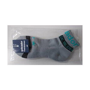 SAh[(goleador) V[g\bNX A-028 O[/ubN