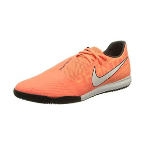 iCL(Nike) t@g Fm AJf~[ IC ao0570-810 uCg}S[ 28.5cm