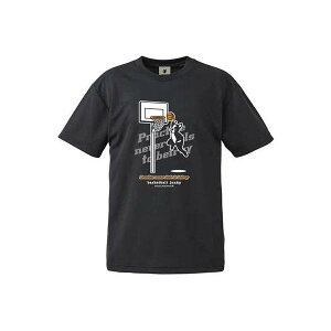 �o�X�P�b�g�{�[���W�����L�[(basketball junky) DRYTEE PRACTICE ����T bsk20013 �u���b�N