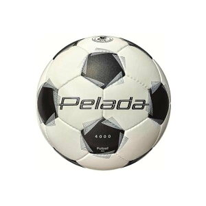 e(molten) tbgT4 y[_ 苅 F9K4000 ×