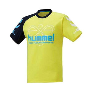 q(hummel) nh{[TVc (HAP4134) (32)NCG[