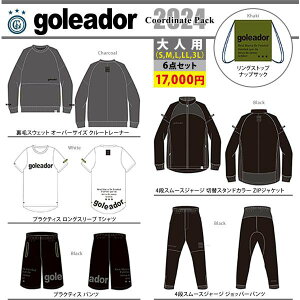 goleador SAh[ tbgTEGA 2024N  v6_ HP-2024