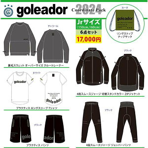 goleador SAh[ WjA tbgTEGA 2024N  v6_ HP-2024JR