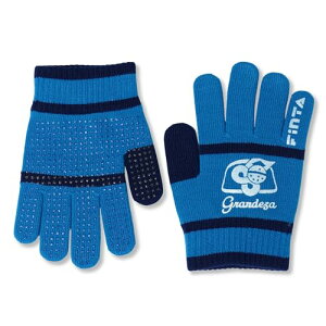 tB^(FINTA) TbJ[ WjAp jbgO[u TbNX×lCr[ FT4565-2211