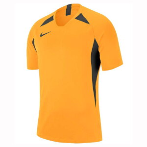 iCL(Nike) Y Dri-FIT WFhJSY vVc CG[×ubN AJ0998-739