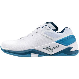 �~�Y�m(MIZUNO) �n���h�{�[���V���[�Y �E�G�[�u�X�e���XNEO ���L2E �y�� �z���C�g×�u���[×�V���o�[ X1GA200086