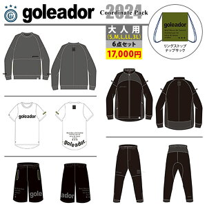 goleador SAh[ tbgTEGA 2024N  v6_ HP-2024