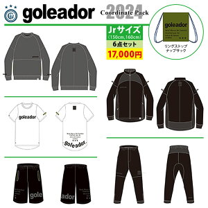 goleador SAh[ WjA tbgTEGA 2024N  v6_ HP-2024JR
