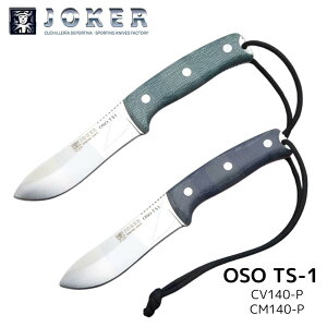 yVzW[J[ CM140-P CV140-P OSO TS1 t@C[X^[^[t iCt AEghA Joker neBO ubVNtg 125