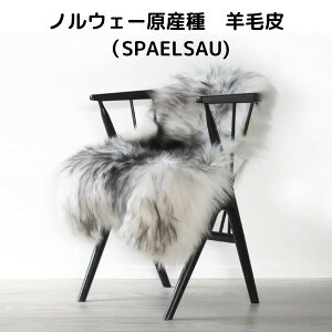 ymEF[Y[gz Xy\E mEF[ V[vXL rє [g Lv є