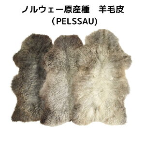 mEF[Y[g y\E Pelseau mEF[ rє [g Lv є 