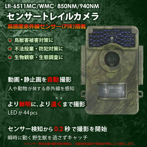 ̂ ΍ gCJ LtlAcorn 6511WMC 850NM O[^Cv ԊOZT[J xԊOZT[  CmVV   h bQ  ĎJ Ԓ 