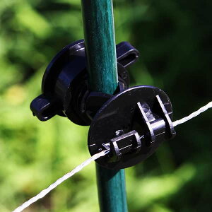 dCpVq |[Vq 30Zbg dC bQh~i  Q ̂ nNrV      bQ Qb