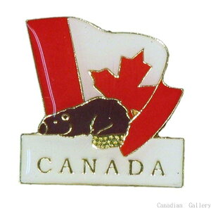 sobW Ji_r[o[ 1y[֔z(|Xg)Asz