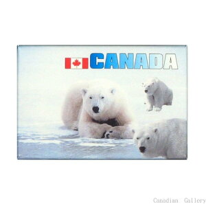 CANADA  }Olbgy[֔z(|Xg)Asz
