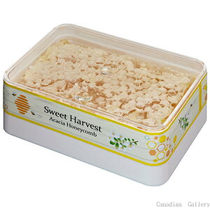 y1zXB[gn[xXg@AJVAnj[R(n`̑E݂͂)@200g