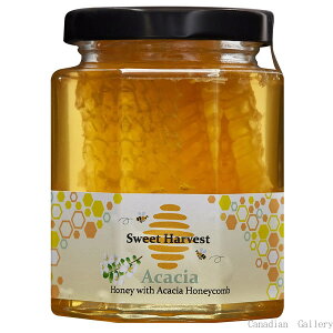 y12zXB[gn[xXg@AJVA݂͂(n`̑)@250g