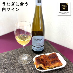 yCzQFcg~l[@750ml@Ì@Ȃɍ@Ji_C@I^IB@R[}@VQA yY@@v[g@Mtg@a@@j@