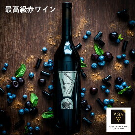 送料無料【最高級赤ワイン】エクスクラメーションメルロー　750ml　フルボディ　ローストチキンに合う　　カナダワイン　オンタリオ州　ピリテリー　VQA お土産　高級　プレゼント　ギフト　誕生日　結婚　お祝い　記念日　女子会