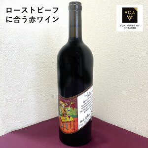 yԃCz}WVsmV[Y@750ml@t{fB@[Xgr[tɍ@Ji_C@I^IB@Ct@VQA yY@@v[g@Mtg@a@@
