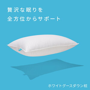 y1020b20OFFN[|zzCgO[X _E  X^_[h50cm×66cm`LO50cm×91cm܂őIׂ ܂  QԂ     Hі Ji_Y  d