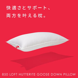 【送料無料】【CDFC】850 Loft Hutterite Goose Down まくら 枕 固い やわらかい 普通 ダウン 睡眠 枕 カナダ産 高級 固い 普通 やわらかい