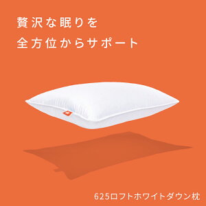 625tgzCg_E X^_[h50cm×66cm`LO50cm×91cm܂őIׂ ܂  QԂ     H  Ji_Y  d  _炩 炩