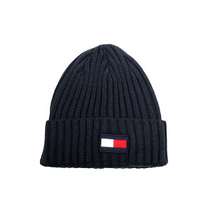 g~[qtBK[ jbgX Y fB[X XJCLve TH100068C-SKY TOMMY HILFIGER