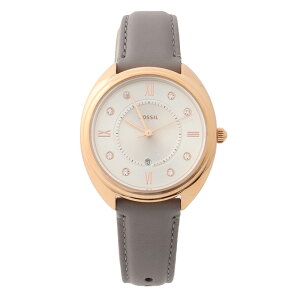 tHbV rv fB[X U[ O[ zCg FOSSIL GABBY ES5073 v EHb`  JbRCC IV 