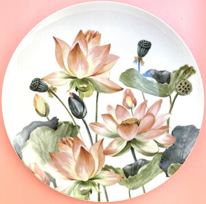 Lotus [^X M (M) O[  27cm  @ GM  Z~bN H mH ێM M M fBbV fBi[v[g v[g v[g e[uEFA  nhC