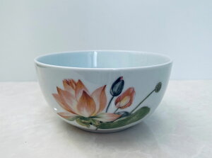 Lotus [^X {EEo^M O[  14cm  @ GM  Z~bN H mH ێM M M fBbV fBi[v[g v[g v[g e[uEFA  nh