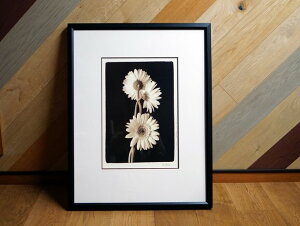 y󂠂z GUNES G G A[g A[g|X^[ A[gt[ z z  t[ Vv fUC  rO _CjO Q ڎ q  O O O C