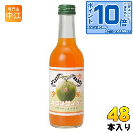 〔エントリーでポイント10倍！〕 友桝飲料 夕張メロンサイダー 245ml 瓶 48本 (24本入×2 まとめ買い) 炭酸飲料