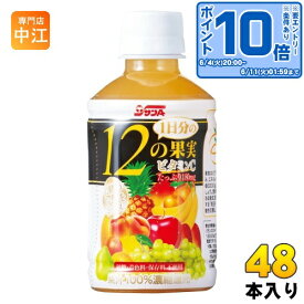 〔エントリーでポイント10倍！〕 サンA 1日分の12の果実 240ml ペットボトル 48本 (24本入×2 まとめ買い) 果汁飲料