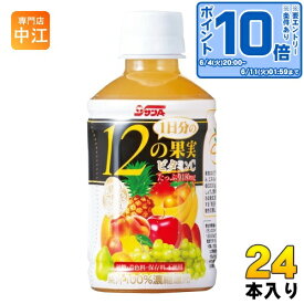 〔エントリーでポイント10倍！〕 サンA 1日分の12の果実 240ml ペットボトル 24本入 果汁飲料