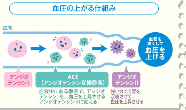 楽天市場】アサヒ カルピス アミール やさしい発酵乳仕立て 100ml ペットボトル 60本 (30本入×2 まとめ買い) 〔機能性表示食品〕 : 専門店 中江 楽天市場】アサヒ カルピス アミール やさしい発酵乳仕立て 100ml ペットボトル 60本 (30本入×2 まとめ買い) 〔機能性表示食品〕 : 専門店 中江