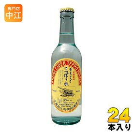 有馬サイダー てっぽう水 330ml 瓶 24本入 〔炭酸飲料〕