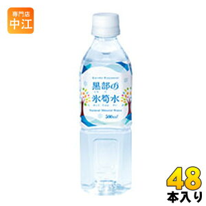 ̕X⡐ 500ml ybg{g 48{ (24{×2 ܂Ƃߔ) k~lEH[^[l
