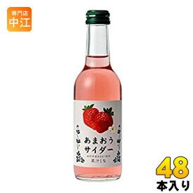 友桝飲料 あまおうサイダー 245ml 瓶 48本 (24本入×2 まとめ買い)