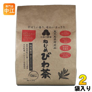 \Ð_ ˂߂т풃 eB[obO 2g×120obN 2 (1ܓ×2 ܂Ƃߔ)