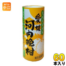 愛工房 河内晩柑 125ml カート缶 60本 (30本入×2 まとめ買い)