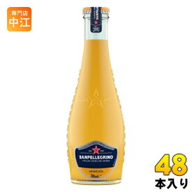 サンペレグリノ イタリアン スパークリングドリンク アランチャータ (オレンジ) 200ml 瓶 48本 (24本入×2 まとめ買い) 炭酸飲料 柑橘 果汁 フルーツベバレッジ