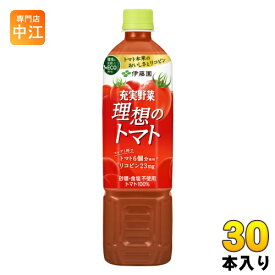 伊藤園 充実野菜 理想のトマト 740g ペットボトル 30本 (15本入×2 まとめ買い) 野菜ジュース トマトジュース
