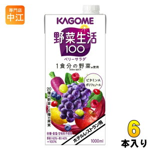 JS ؐ100 x[T_ zeXgp 1L pbN 6{ ؃W[X